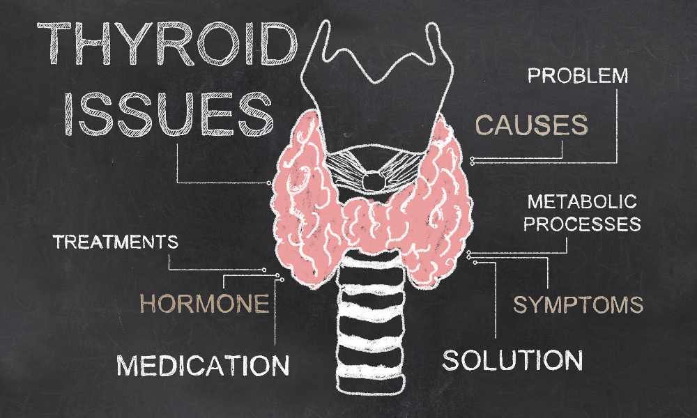 All About Thyroid: Understanding This Powerhouse Gland - Dr. Meena Malhotra - Heal n Cure